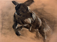 African Hunting Dog