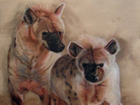 Hyenas