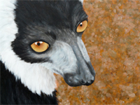 Ruffed Lemur painting