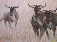 Wildebeest painting