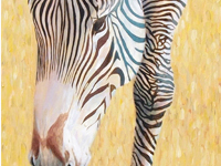 Grevy's Zebra painting