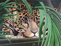 Jaguar painting