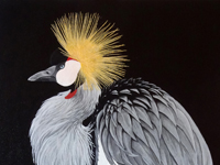 Grey Crowned Crane painting