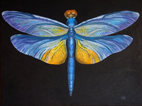 Dragonfly painting