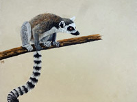 Ringtail Lemur painting