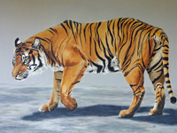 Sumatran Tiger painting