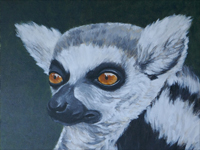 Ringtail Lemur portrait painting