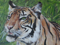 Sumatran Tiger 2 painting