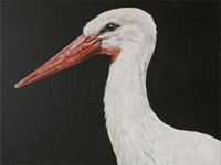 Stork painting