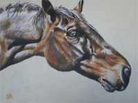 Horse Portrait painting